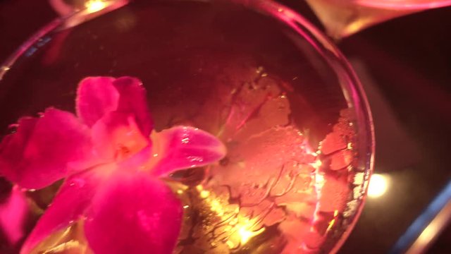 close up, flower in alcoholic drink