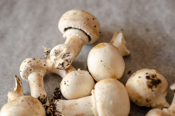 freshly harvested dirty mushrooms spread on paper, raw and healthy vegetables