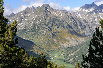 Obraz premium Shepherd dog caring sheep flock in El Tarter, Canillo, Andorra.