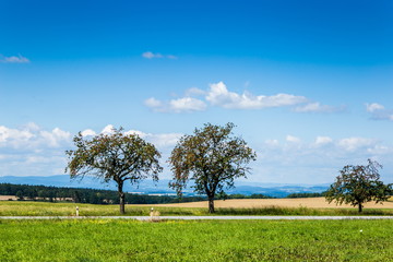 Fototapeta na wymiar Summer czech countryside