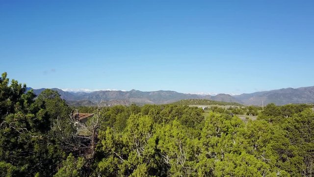 Aerial view of trees across Echo Canyon, Nevada