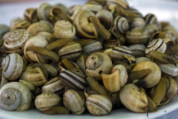 Cooked snails or escargot close up