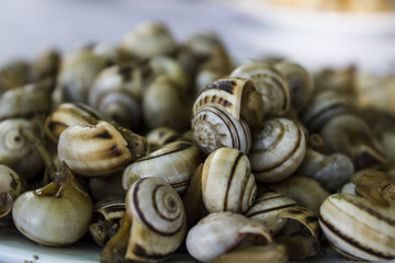Cooked snails or escargot close up