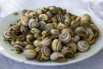 Fototapeta na wymiar Cooked snails or escargot close up