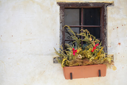 Window decoration for Christmas in the form of plant branches and slices of orange, lemon in a ceramic pot on the building window. A small window on the background of old peeling walls. Place for text