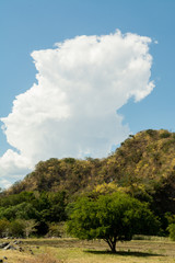 Obraz premium la maria