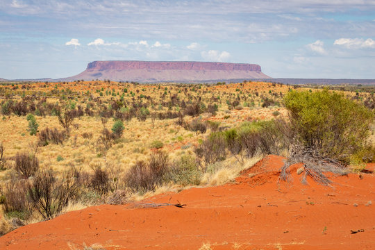 Mount connor viewed from a drit road in the red centre of Australia