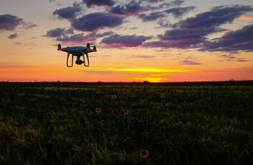 Drone is flying over the field at sunrise. Modern technological background - silhouette of flying machine in glowing red sunset sky.