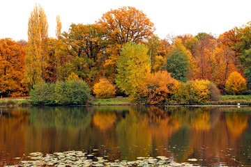 &eacute;tang en for&ecirc;t en automne