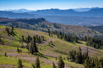 Blue Foothills in the High Sierra Near Arnold California