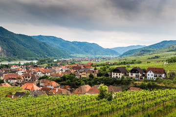 Fototapeta na wymiar Scenic View into the Wachau with the river Danube and town Weissenkirchen in Lower Austria.