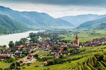 Fotobehang Scenic View into the Wachau with the river Danube and town Weissenkirchen in Lower Austria. © Sergey Fedoskin