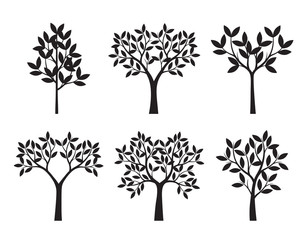 Obraz premium Set of black Trees. Vector Illustration.