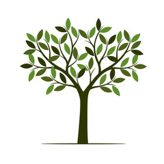 Obraz premium Green summer Tree. Vector Illustration.