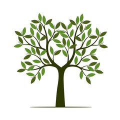 Obraz premium Green summer Tree. Vector Illustration.