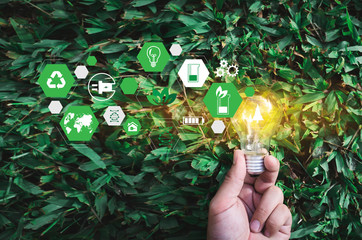 green energy concept energy sources sustainable Ecology Elements