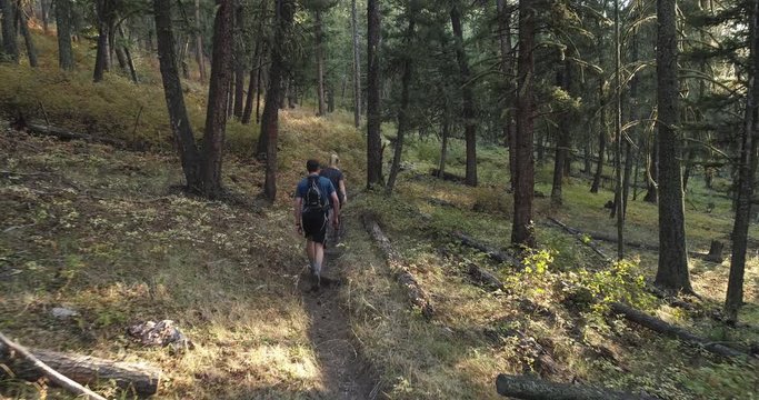 Aerial, couple hikes on forest trail in Montana