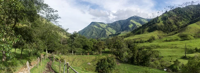 Fototapeten Panorama de la Vallée de Cocora, Salento, Colombie © Suzanne Plumette