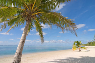 Obraz na płótnie Canvas Cook Islands Aitutaki