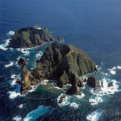 대한민국독도