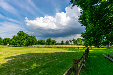 Grassy Field with Fence
