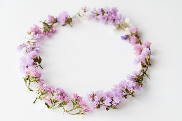Dry flowers on white background, round frame, flat lay, top view