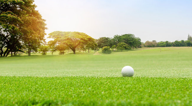 Golf ball on beautiful green grass with sunlight in morning time. Sport and recreation playground for golf club concept.