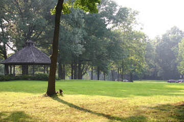 Gazebo in a park