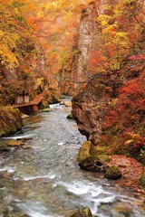 鳴子峡の渓流