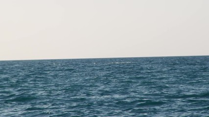 A shaky shot of the blue waters of the ocean as a whale swims near the surface water.