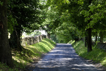 Obraz premium Country lane in rural Virginia