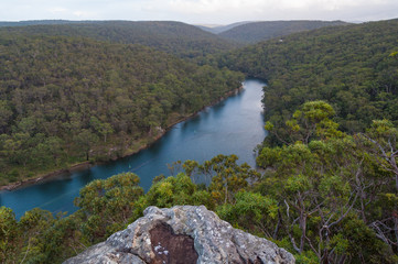 Aerial landscape of river and eucalyptus forest