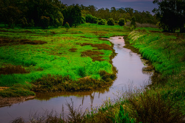 River running through the marshland