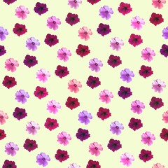 Fototapeta na wymiar Decorative flower background. Seamless colorful pattern.Petunia.Geranium.