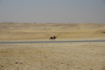 Pyramids of Giza, Egypt