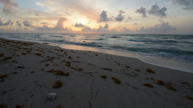 Sunrise time lapse of idyllic tropical beach in Miami, Florida, USA