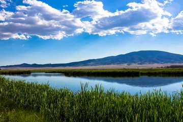 Schilderijen op glas View of the great marsh at Monte Vista National Wildlife Refuge in southern Colorado, with the San Juan Mountains reflected in the water © Martha Marks