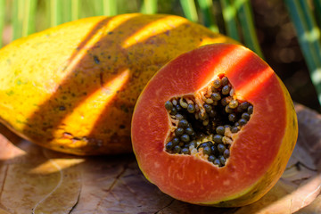 sliced papaya with grains