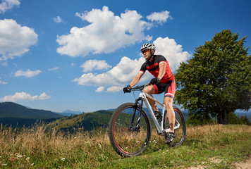 Fototapeta na wymiar Young athletic professional sportsman biker riding bike down the hill on distant mountains, big green tree and blue summer sky with white clouds background. Active lifestyle and extreme sport concept.