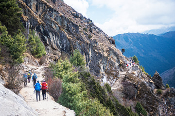 trekker are trekking to Everest base camp