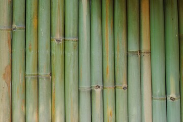 Fototapeta premium bamboo wall background texture pattern brown nature garden house wallpaper line 
