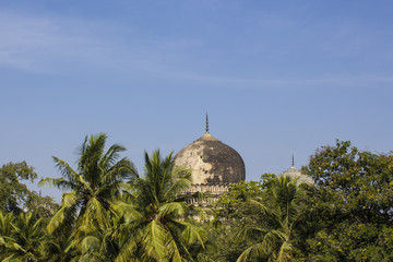 One of the Domes from the Shrines Sticks out from the Grove of Palm Trees at the Qutb Shahi Tombs...