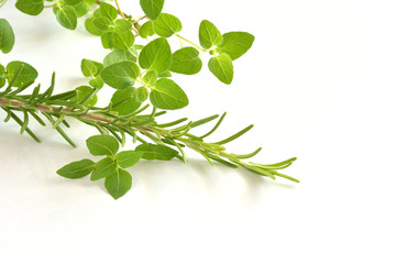 ローズマリー　オレガノ
