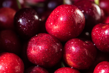 Sweet ripe cherries background close
