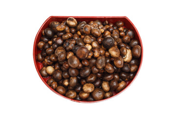 Barometer Earthstars in dishes on white background