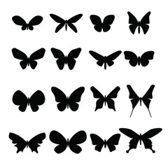 Obraz na płótnie Canvas Set of different black silhouettes of butterflies