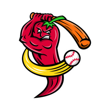 Mascot icon illustration of a red chili pepper from Nahuatl chilli, fruit of plants from the genus Capsicum, members of the nightshade family, as baseball player batting with baseball bat on isolated 
