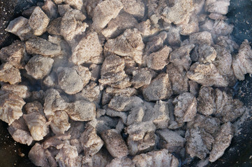 Pieces of pork meat are abundantly sprinkled with salt and pepper.