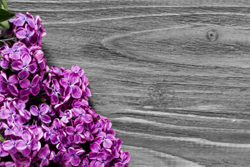lilac flowers in the left down corner on the grey wooden table