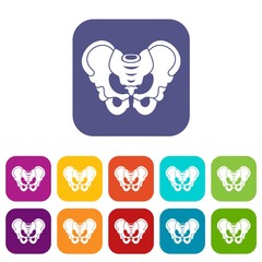 Pelvis icons set vector illustration in flat style in colors red, blue, green, and other